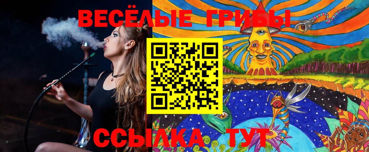 Псилоцибиновые грибы Psilocybine cubensis  Псилоцибиновые грибы мицелий  Саянск  Вход с VPN 