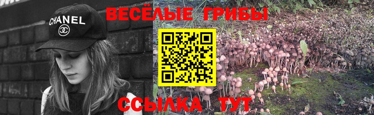 Галлюциногенные грибы Magic Shrooms Саянск